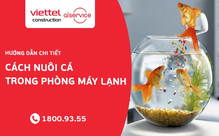 cach-nuoi-ca-trong-phong-may-lanh