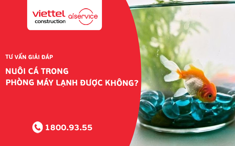 nuoi-ca-trong-phong-may-lanh-duoc-khong (1)